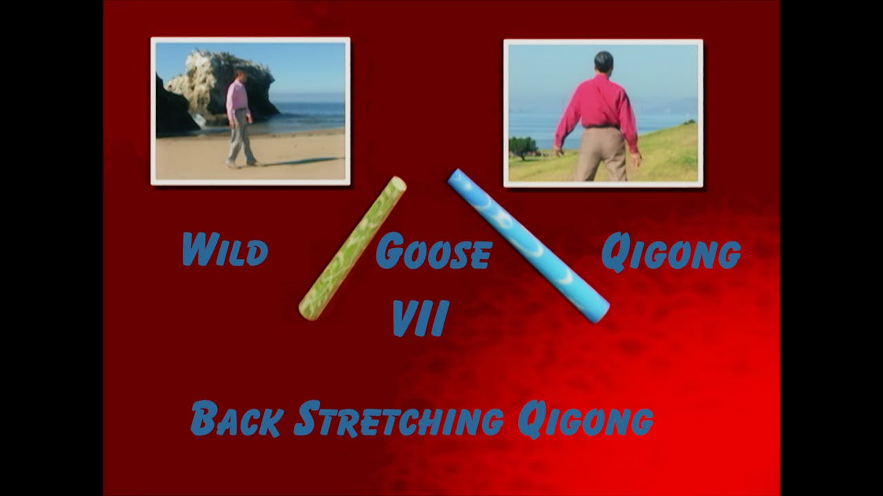 Wild Goose Qigong VII - Back Stretching Baqua Practice