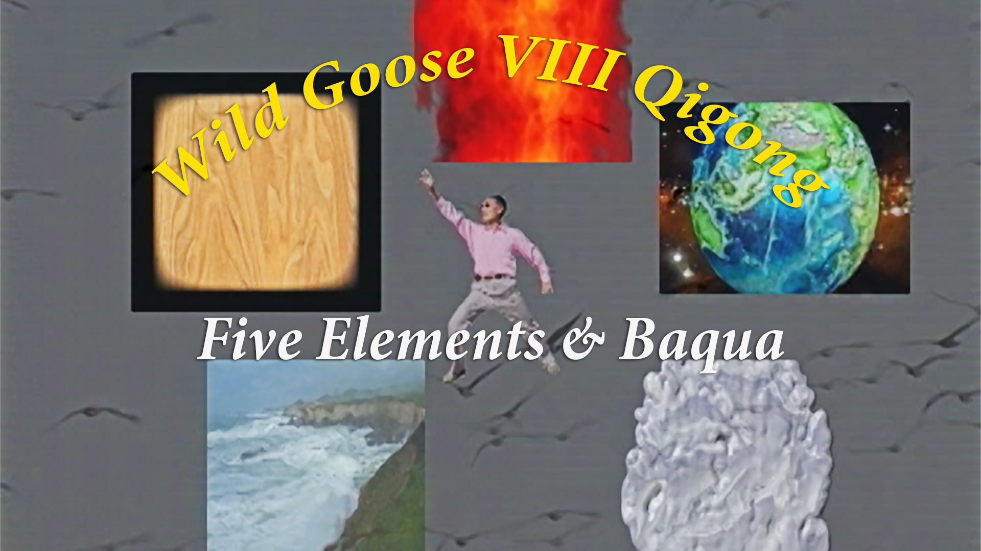 Wild Goose VIII - Five Elements Qigong Remastered HD