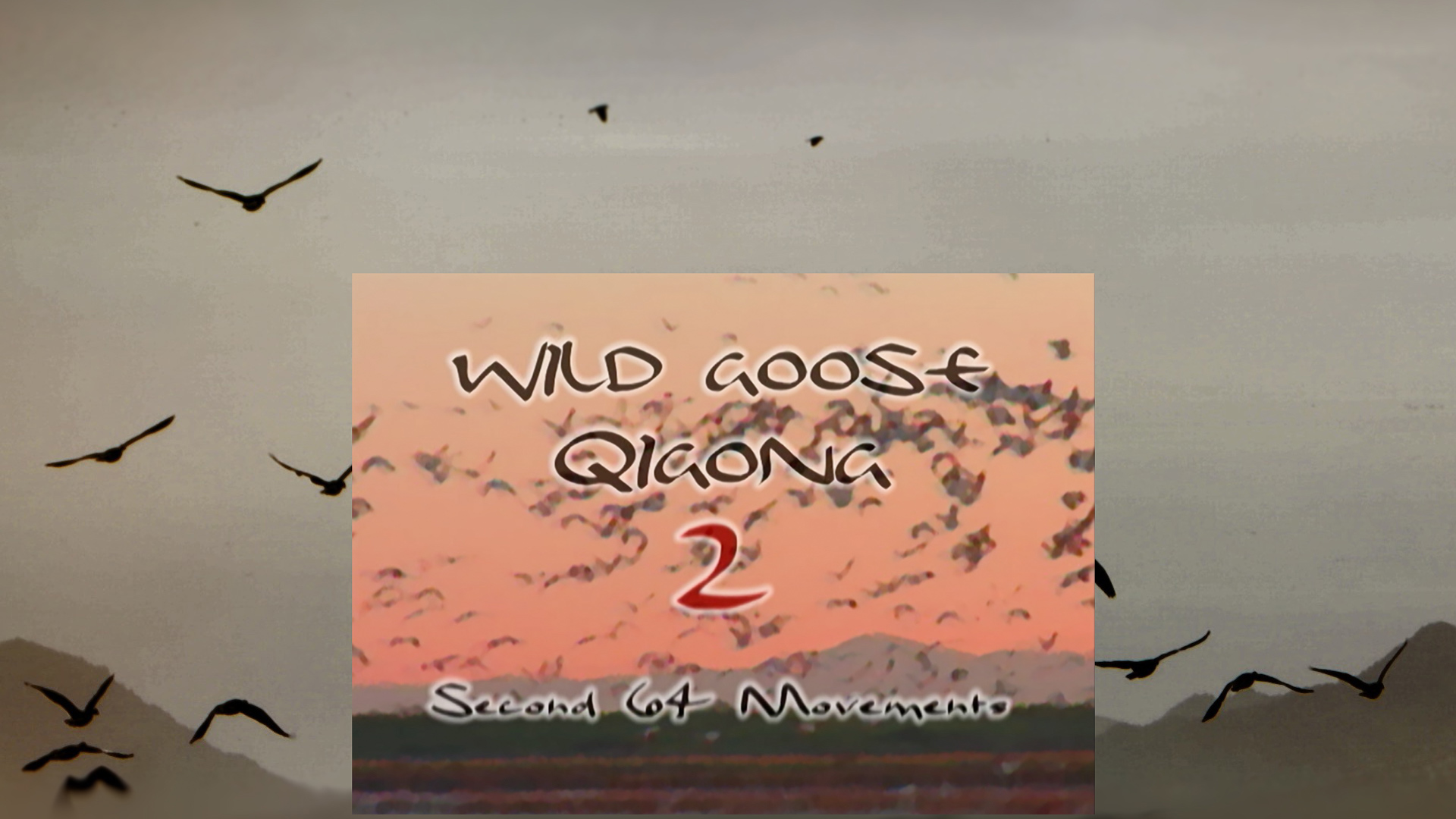 Wild Goose II Qigong (2016 Remastered HD)
