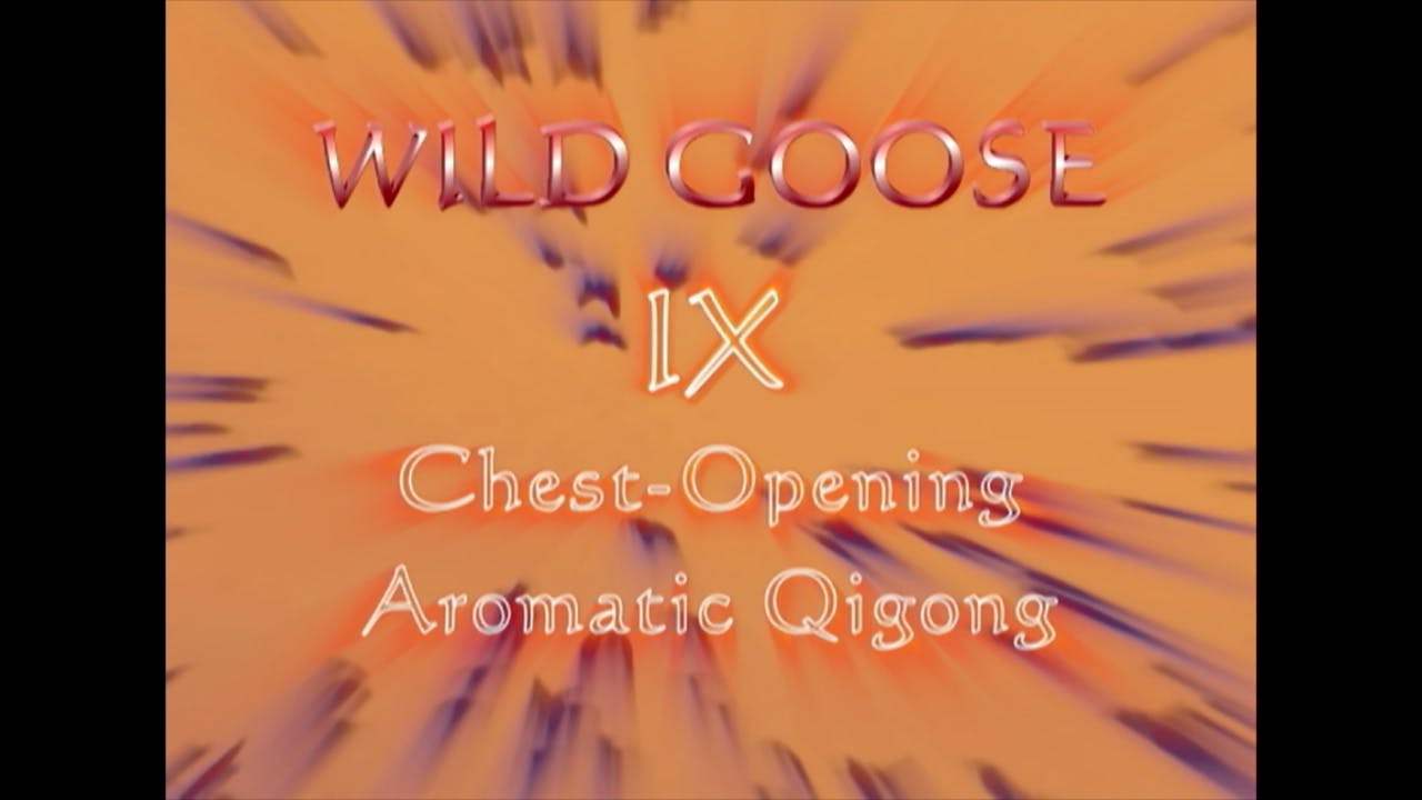 Wild Goose Qigong IX - Chest-Opening Aromatic Practice (Advanced)