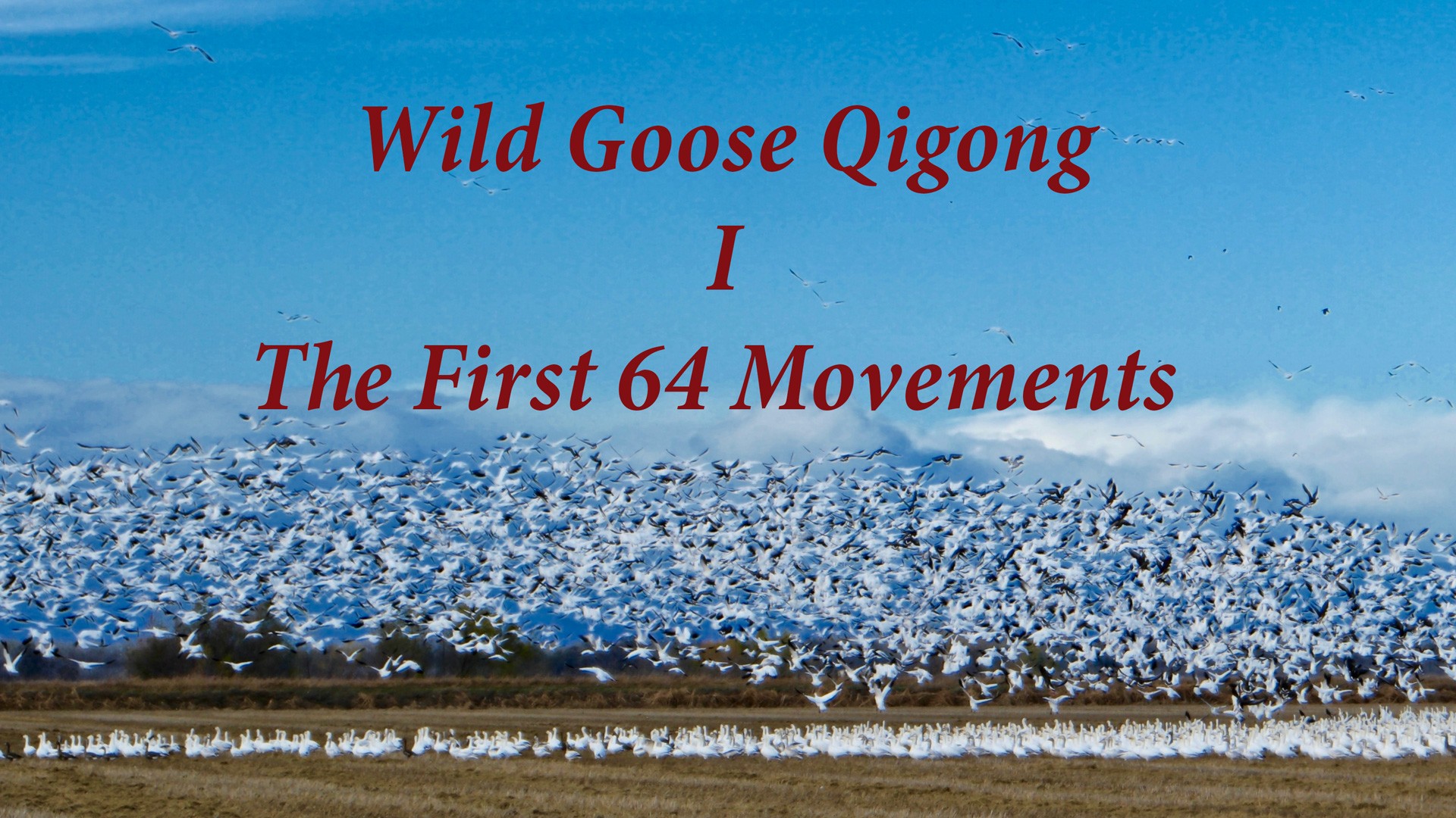Wild Goose I Qigong with Dr. Hu (HD Remastered 2016)