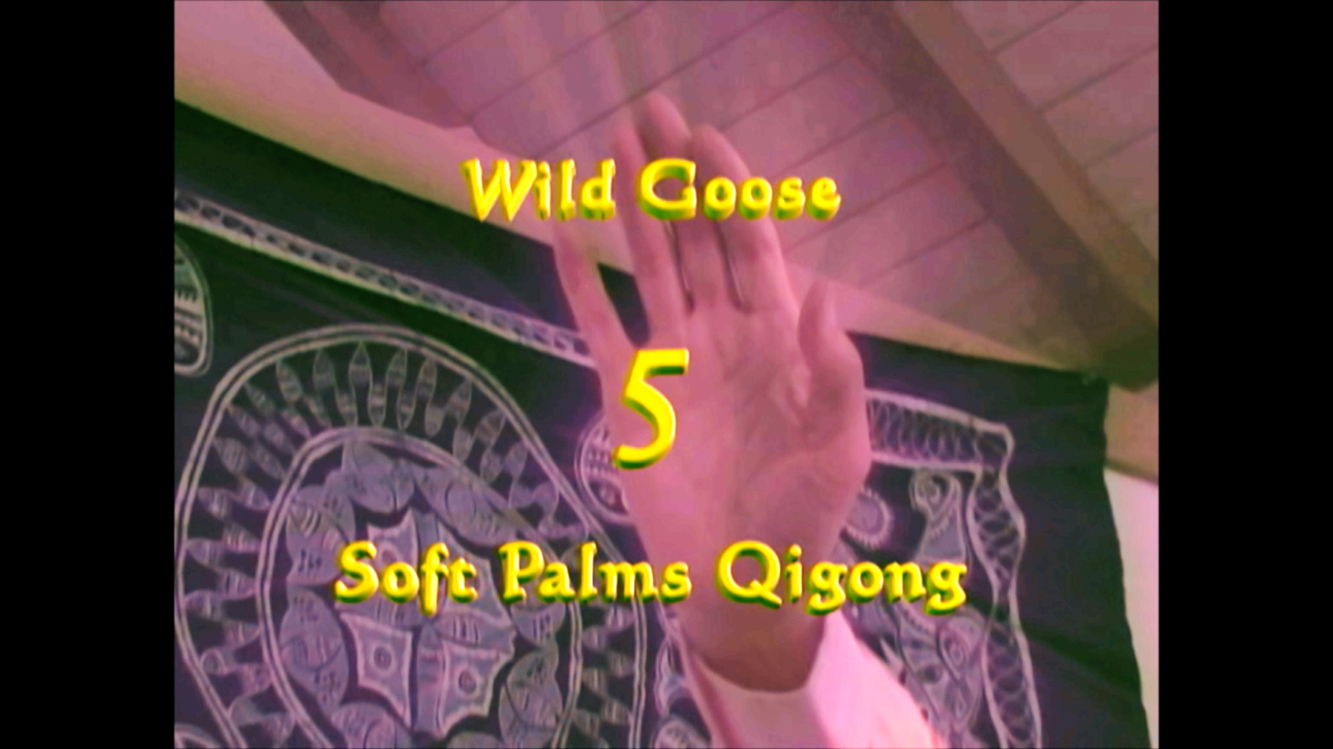 Wild Goose V Qigong - Soft Palms