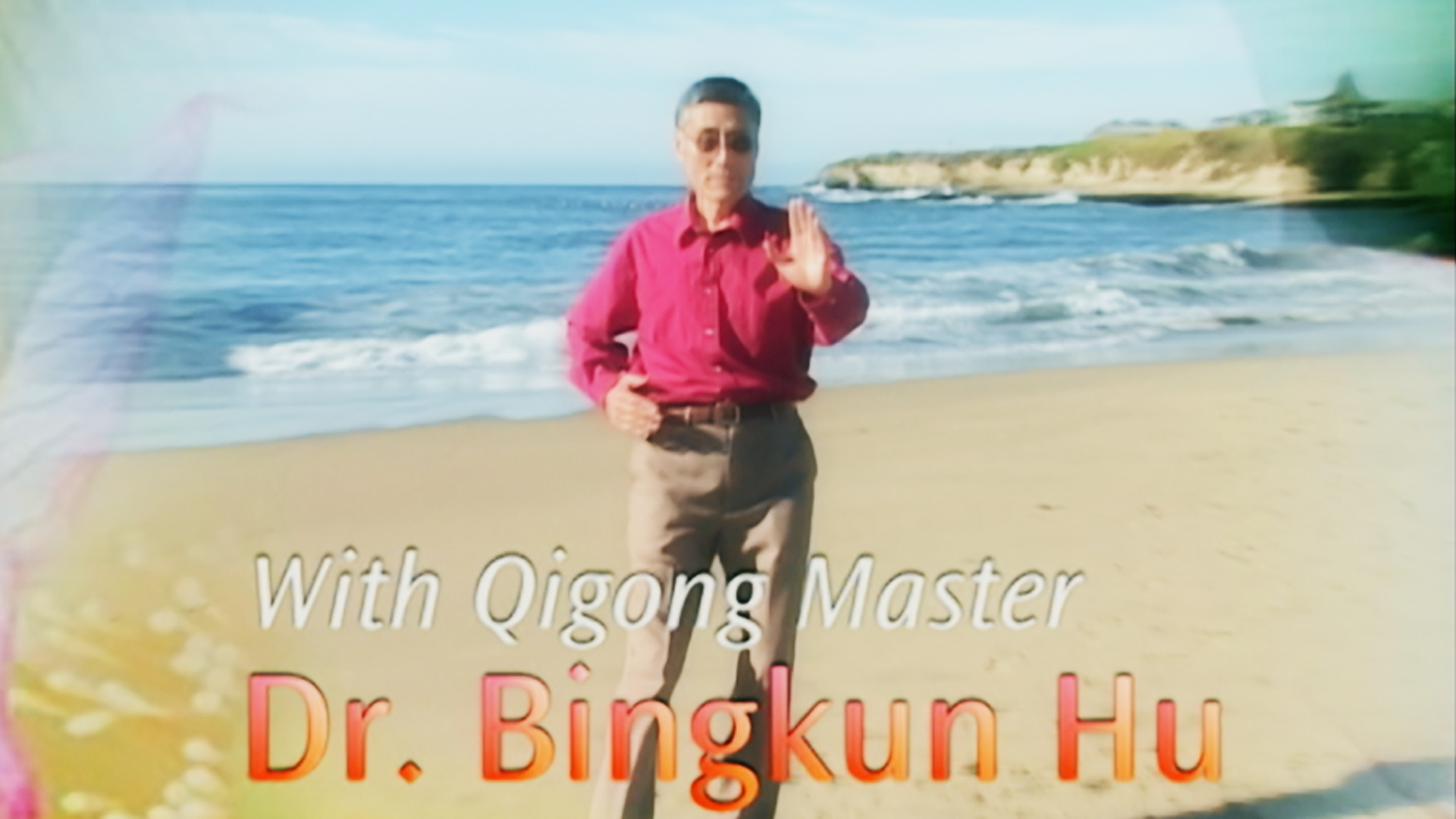WILD GOOSE IX QIGONG (Advanced)