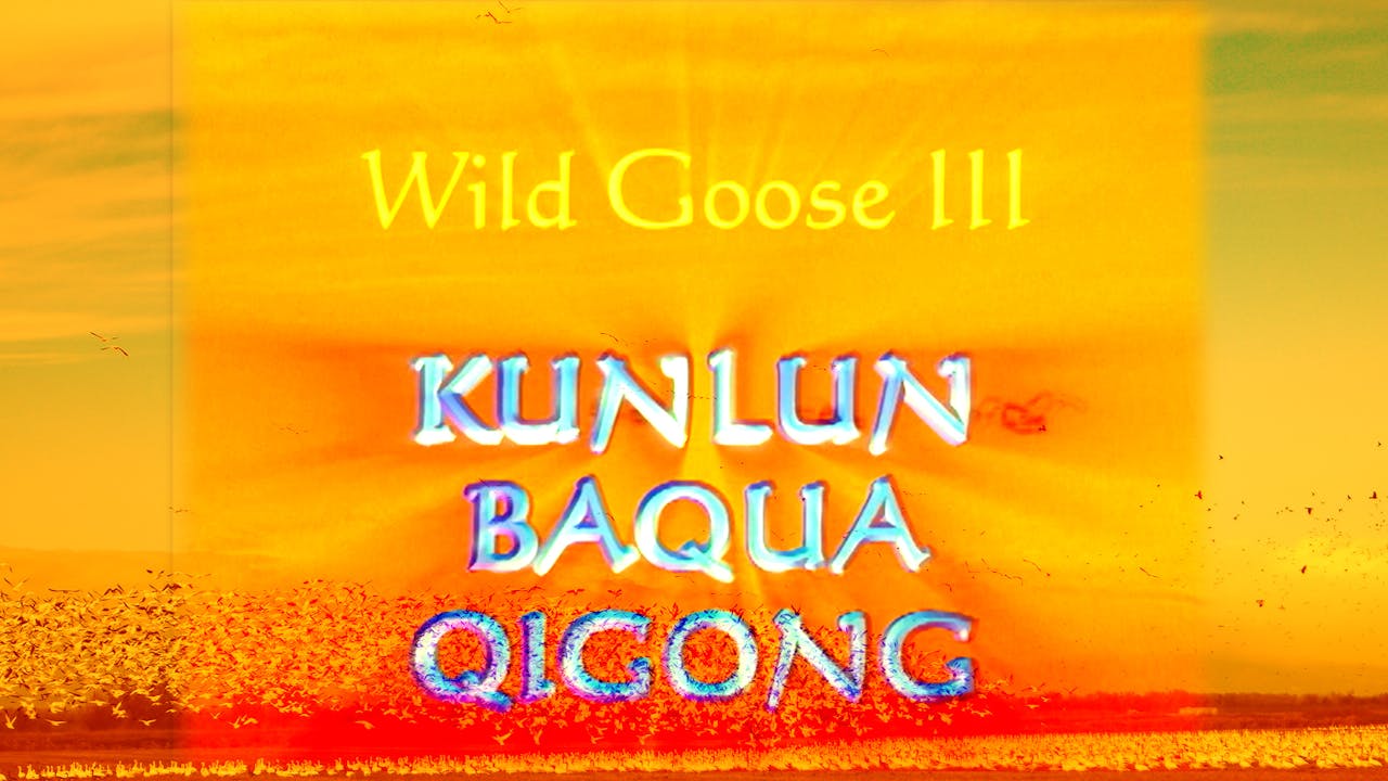 Wild Goose III - Kunlun Bagua Qigong HD