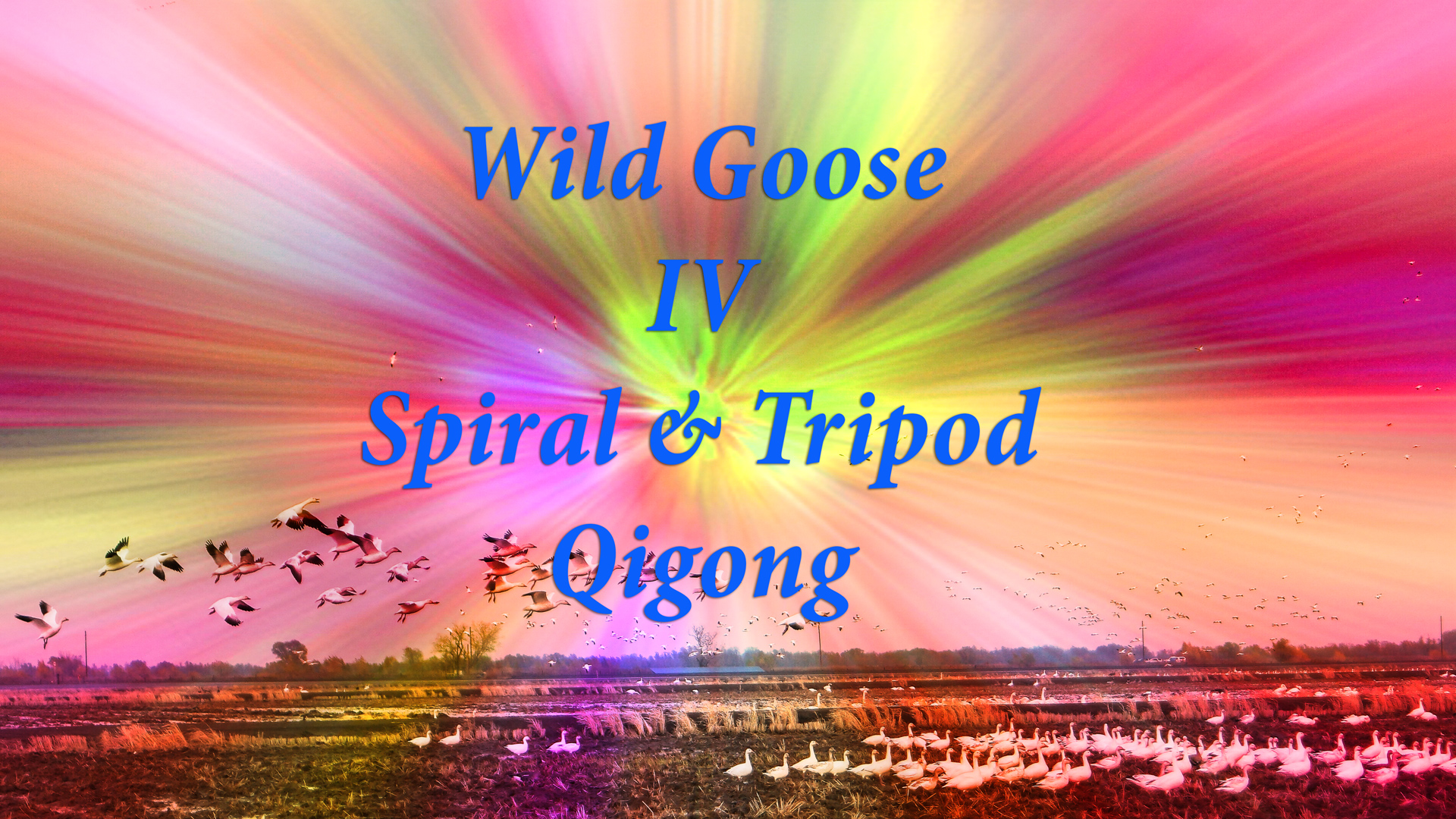 Wild Goose IV - Spiral and Tripod Qigong with Dr. Hu (HD)