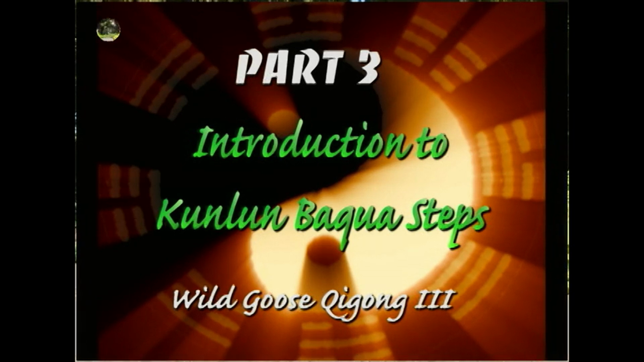Wild Goose III Qigong - Bagua Steps