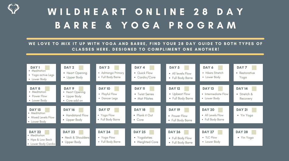 Barre & Yoga 28 Day Program