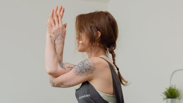 Arm Balance Flow Series with Kelsey: ...