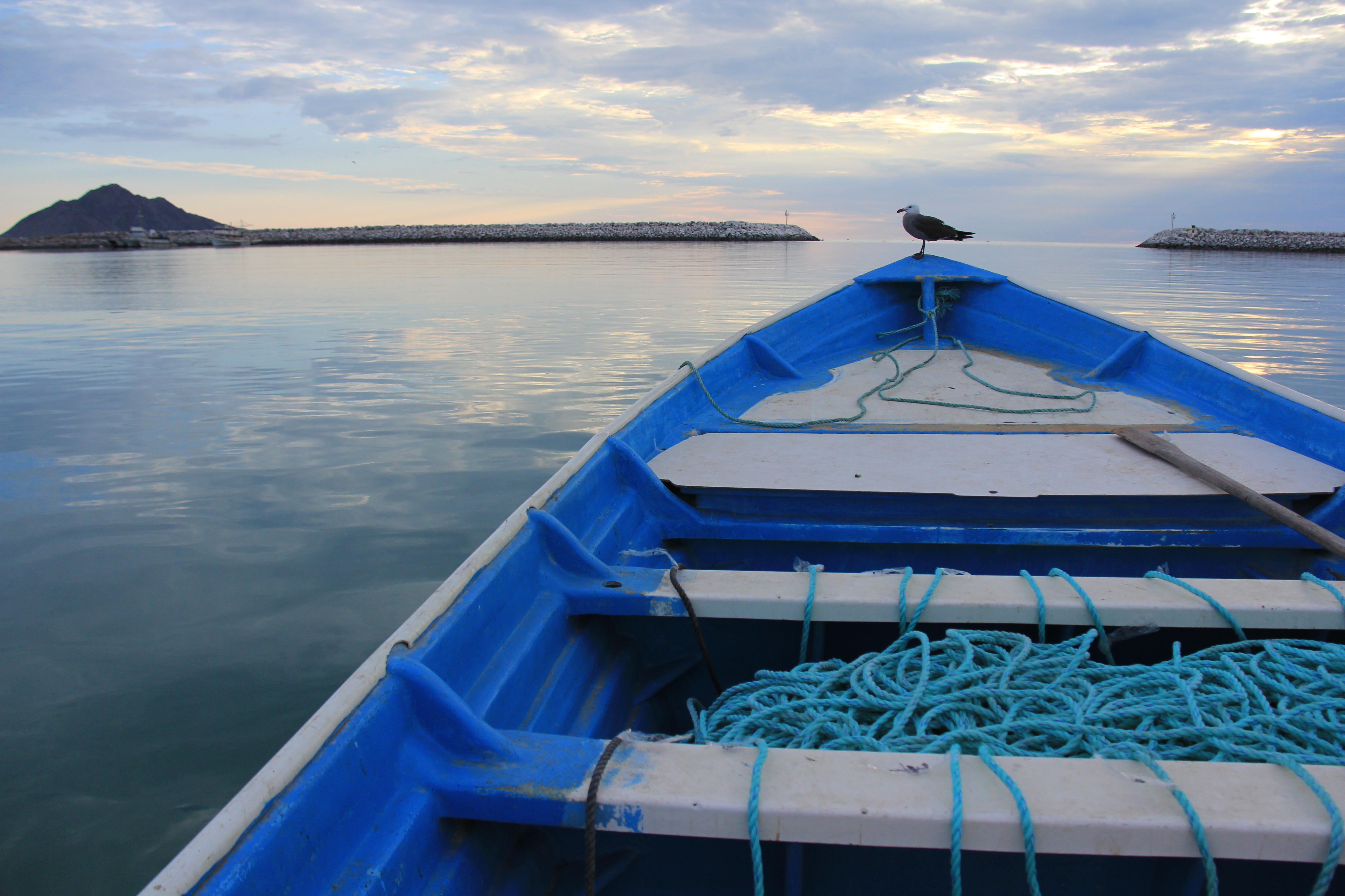 Souls of the Vermilion Sea