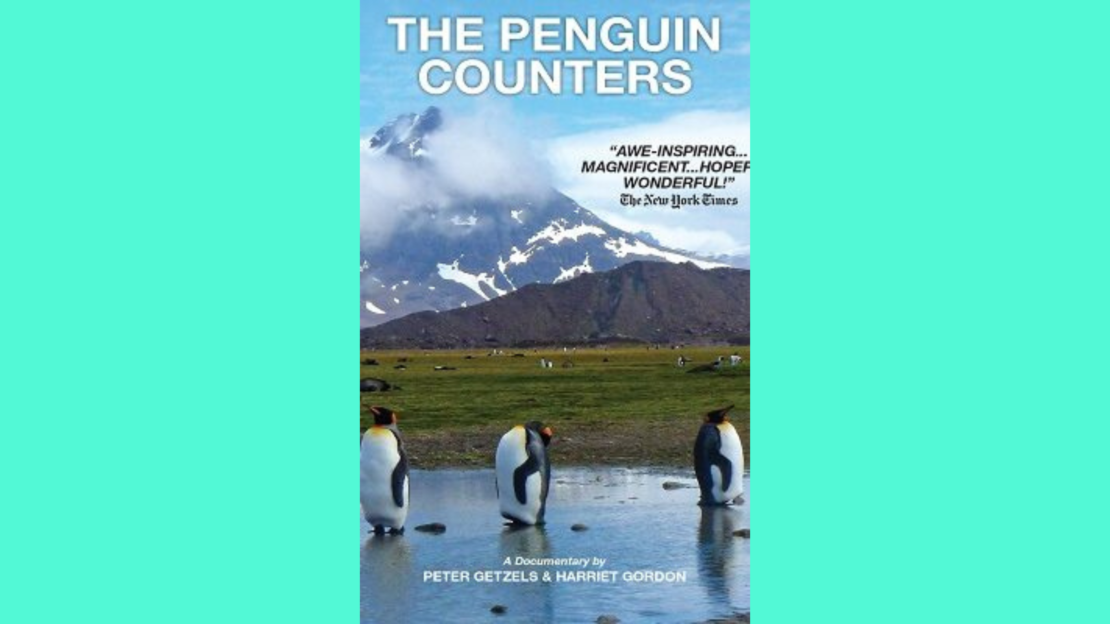PENGUIN COUNTERS