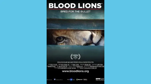Blood Lions