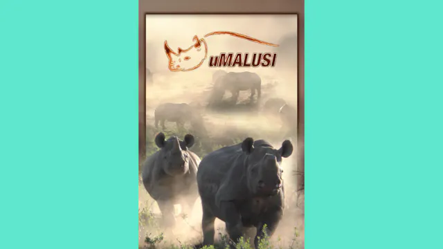 uMalusi