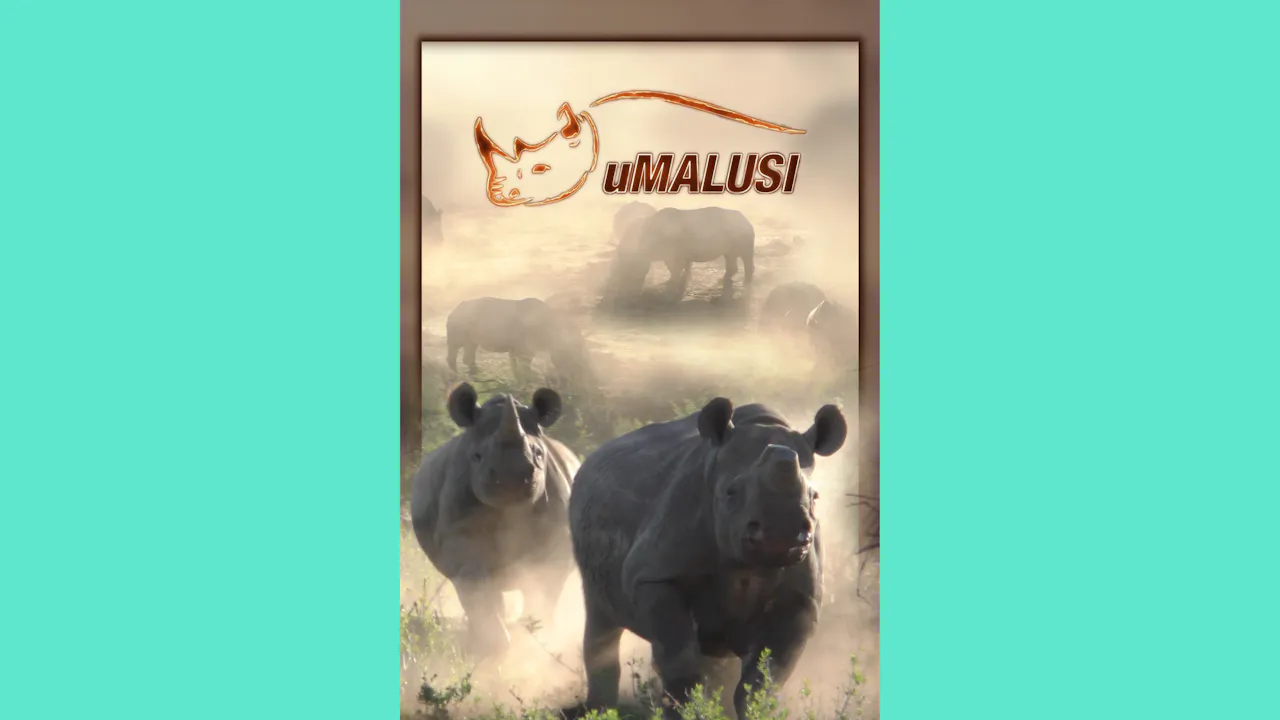 uMalusi
