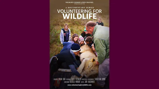 Volunteering For Wildlife – South Africa