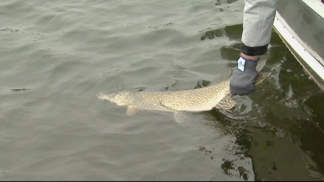 Fishing for lake trout, brook trout, ...