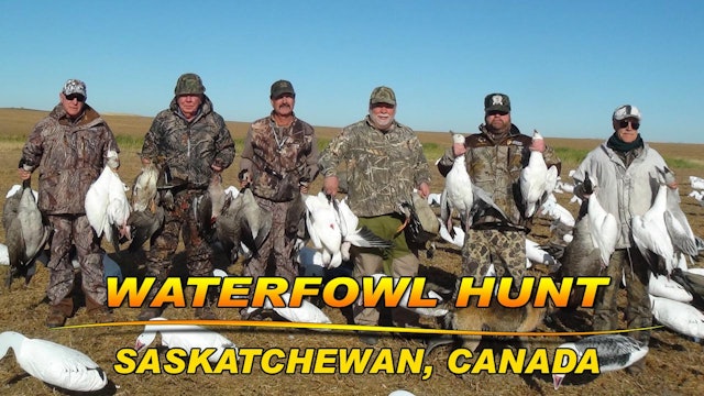 Saskatchewan Waterfowl
