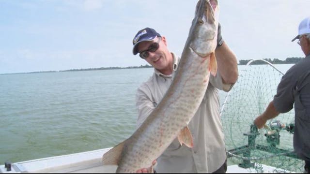 St. Clair's Muskie Jim