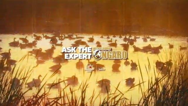 Ducks Unlimited Ask The Expert - Clau...
