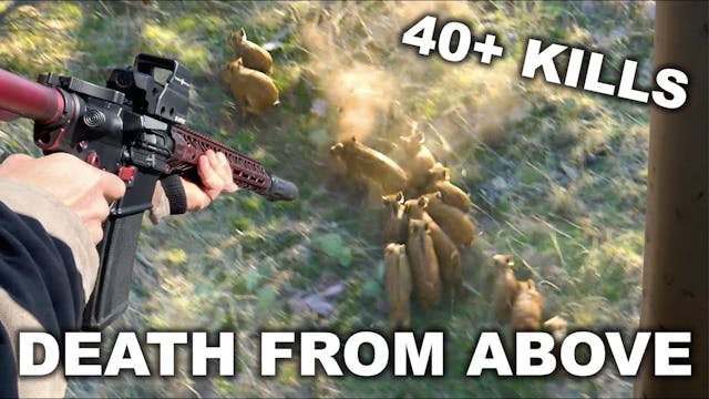 Helicopter Hog Hunting with 50+ Kills