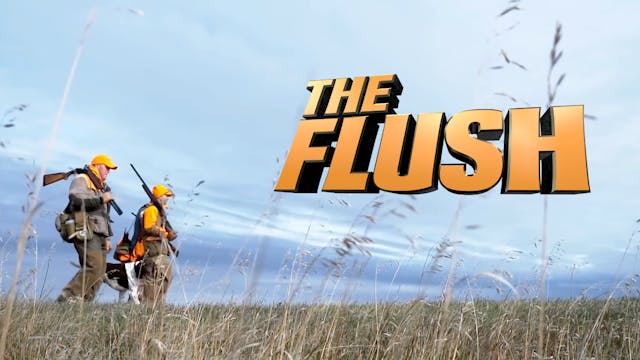 The Flush
