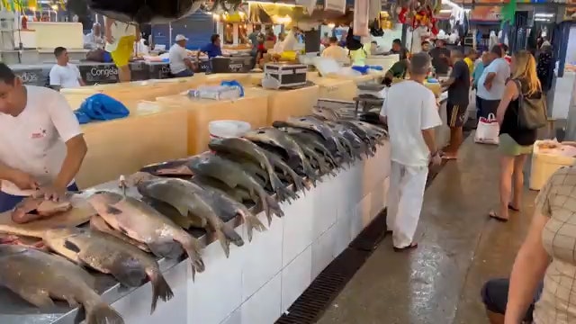 Brazil Sport Fishing