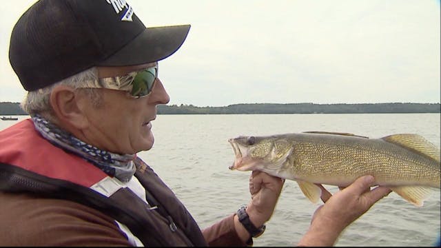 Great Lakes Walleye Fishing