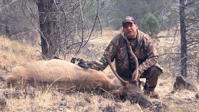 Going Western with Archery Bull Elk