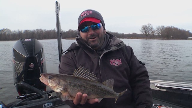 Sauger Wars: Vertical Jigging on the Illinois River