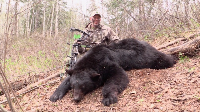 John Dudley's 7' Nose-to-Tail BC Bear