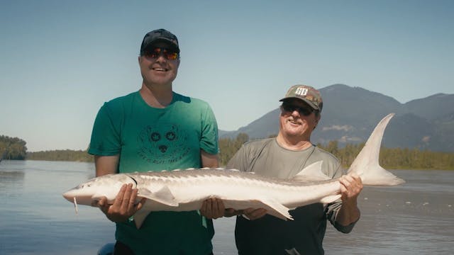 Sturgeon Showdown