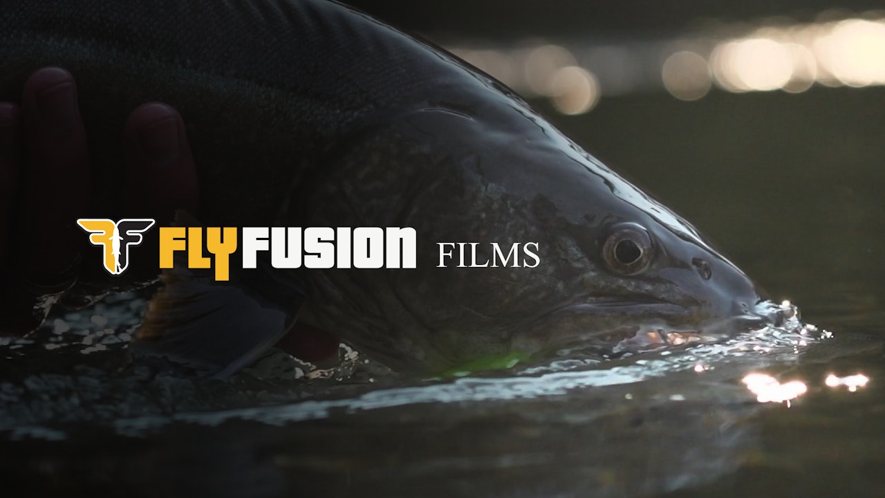Fly Fusion Films