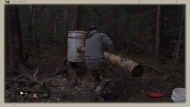 How to Use a Log with Your Bear Bait ...