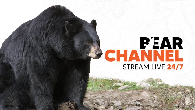 Bear Channel