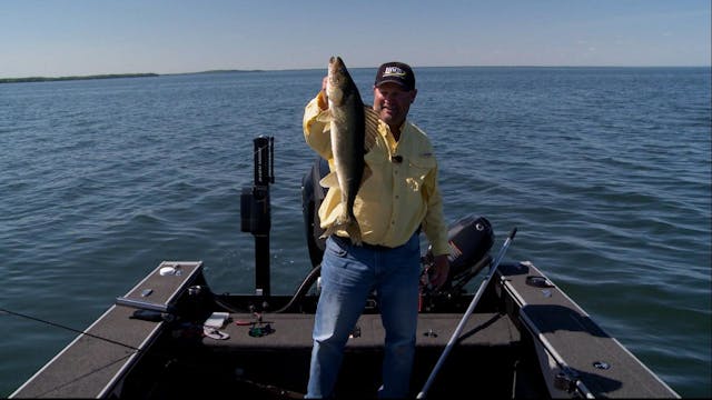 Walleye Across the Spectrum