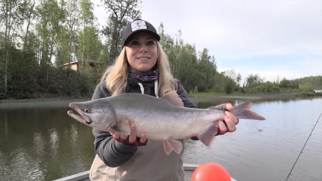 Alaskan Salmon Run
