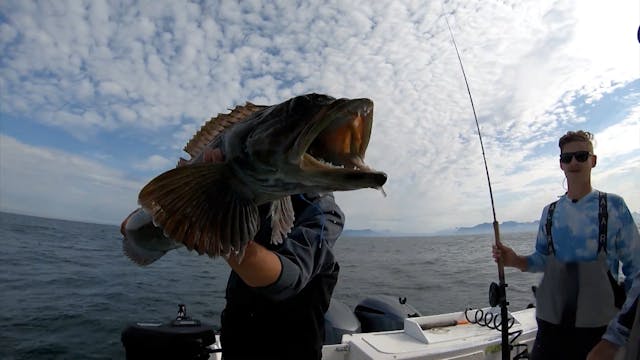 Pinnacle Points for Lingcod