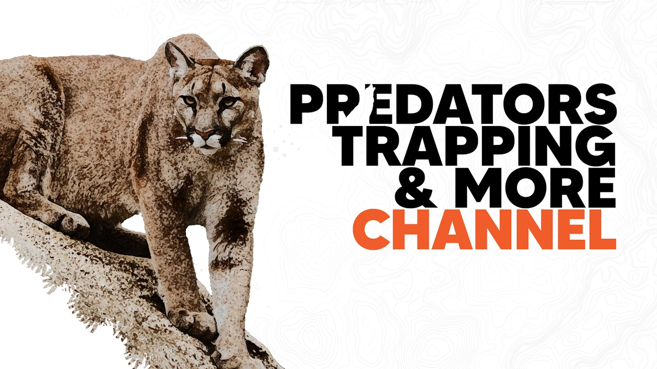 Predators, Trapping and More Channel