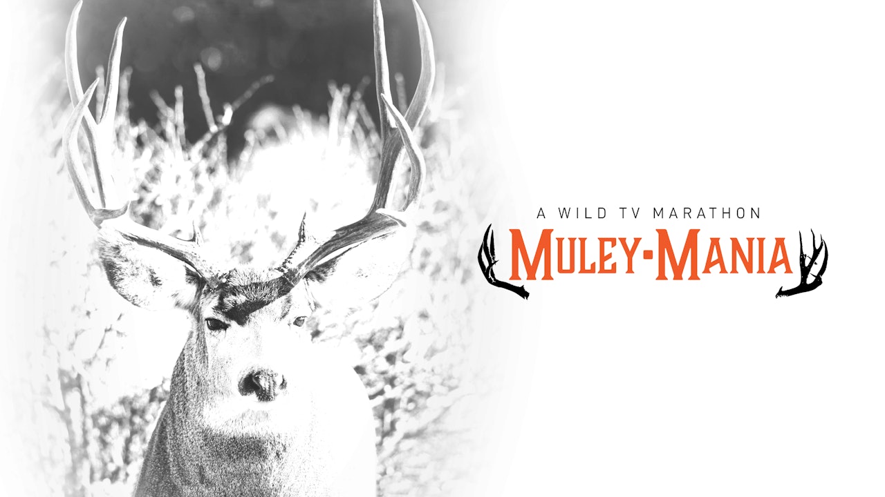 Muley Mania Marathon