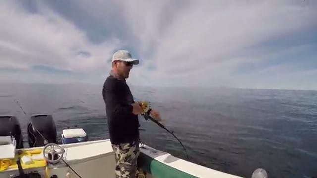 Halibut Strategies on the Pacific