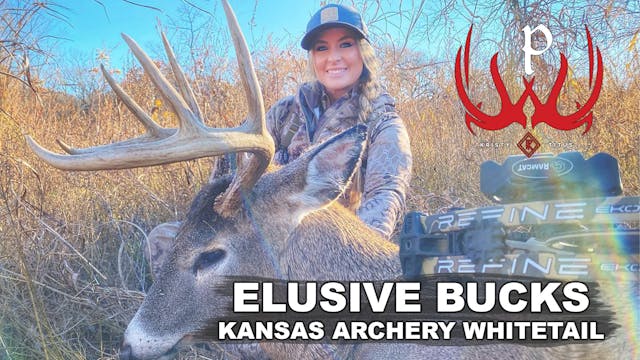 Elusive Bucks, Kansas Archery Whiteta...