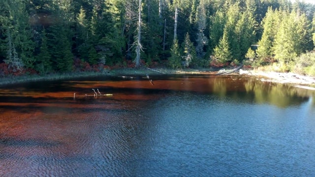 Rooney Lake