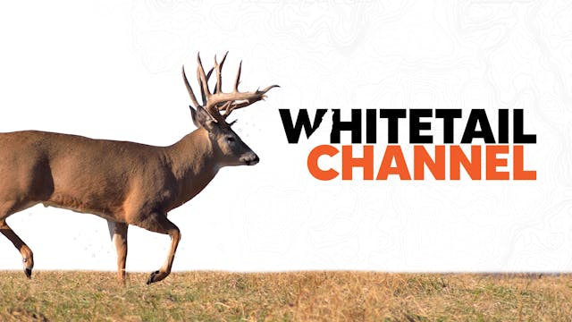 Whitetail Channel
