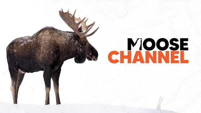Moose Channel