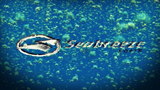 Saltwater Snapper & Barracuda