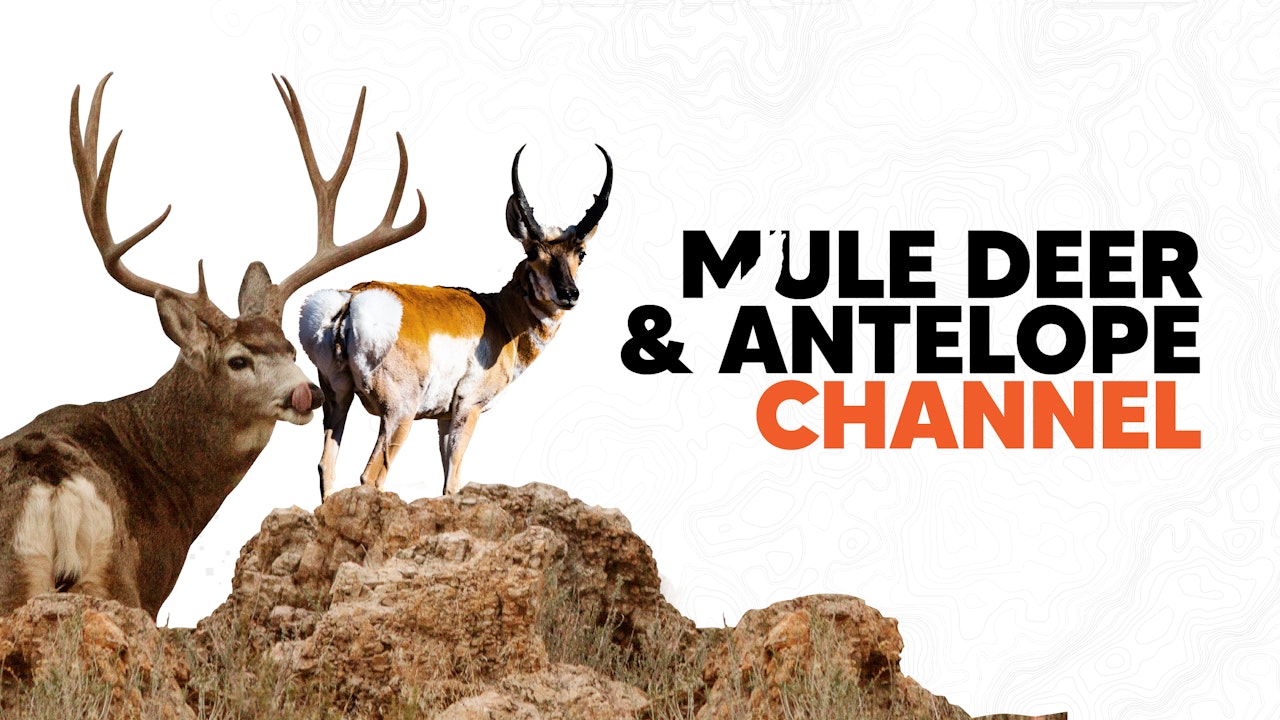 Mule Deer & Antelope Channel