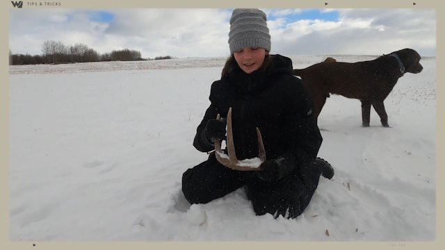 Michelle Van Dams Shed Hunting Tips