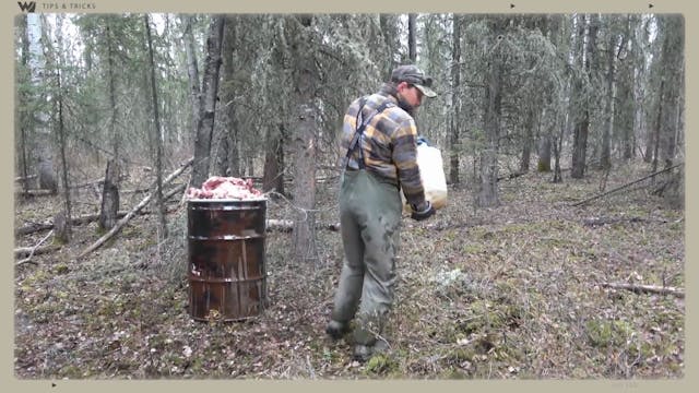 How to Leave a Scent Trail for Bears