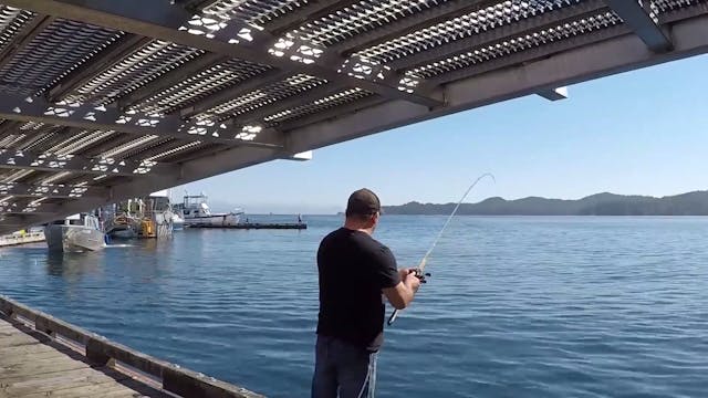 Fishing the North Islands