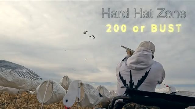200 Bird Snow Goose Hunt - Hard Hat Zone