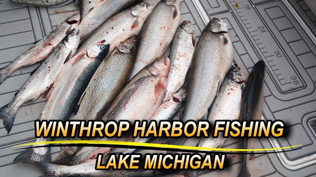 Winthrop Harbor Fishing